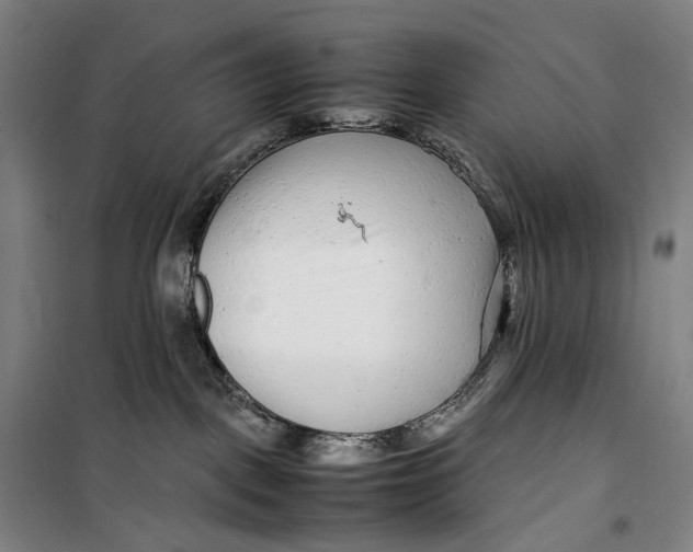 X0000099460093200805301543