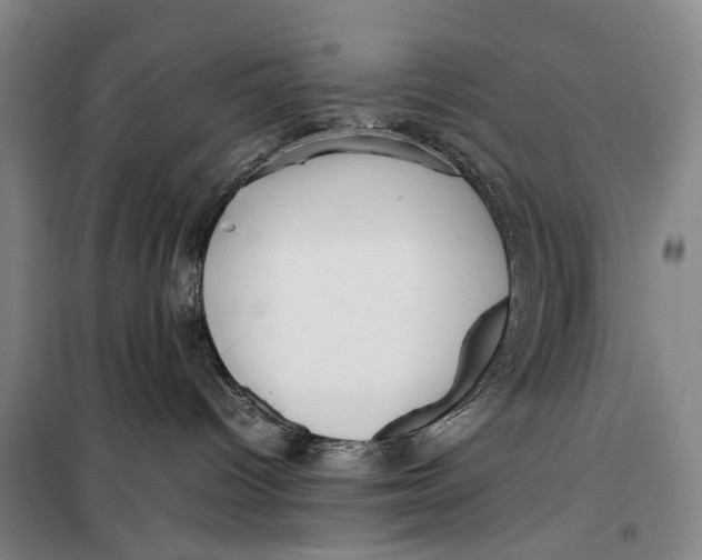 X0000099460096200805301543