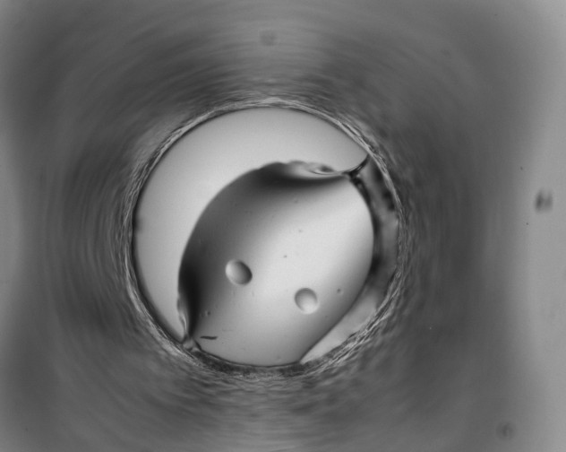 X0000099460097200805301543