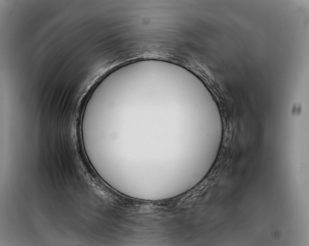 X0000099460098200805301543