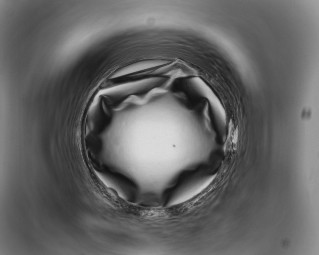 X0000099460099200805301543