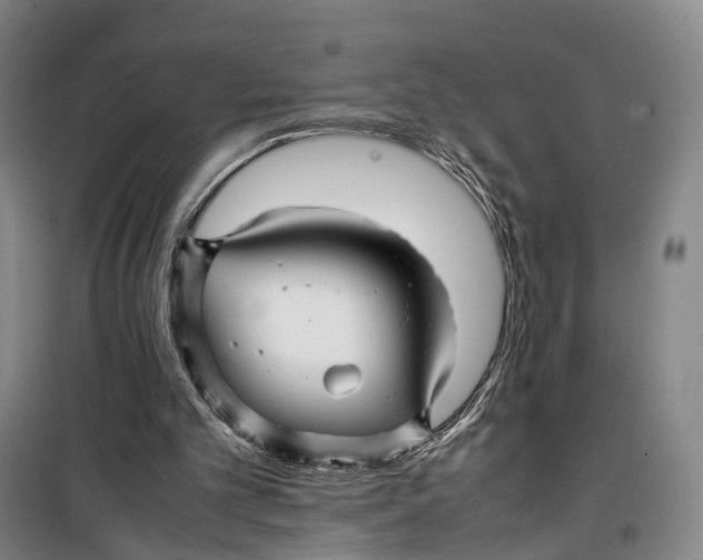 X0000099460101200805301543