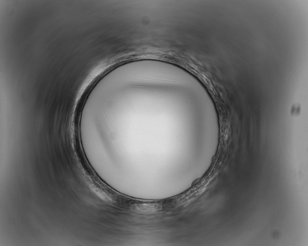 X0000099460102200805301543