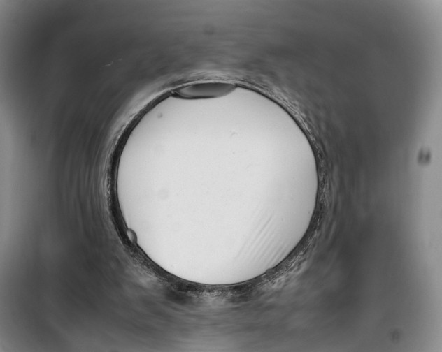 X0000099460103200805301543