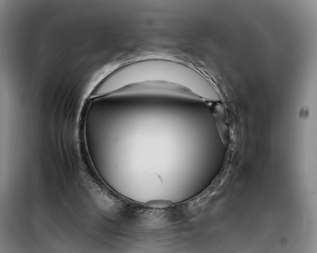 X0000099460104200805301542