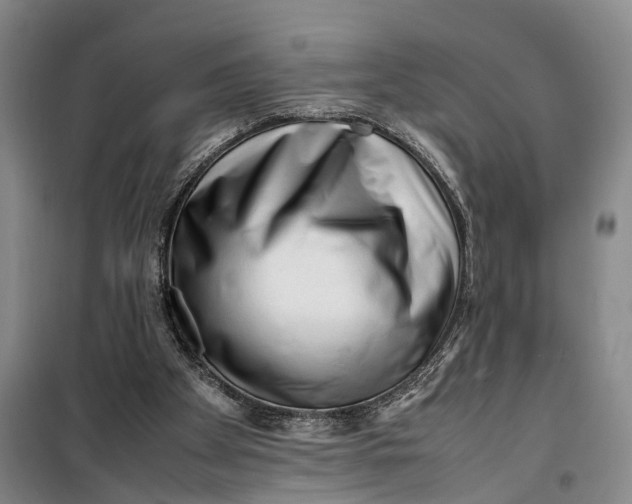 X0000099460105200805301542