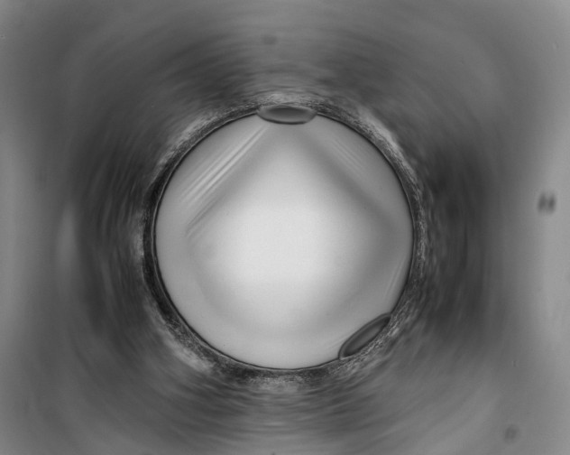 X0000099460106200805301542