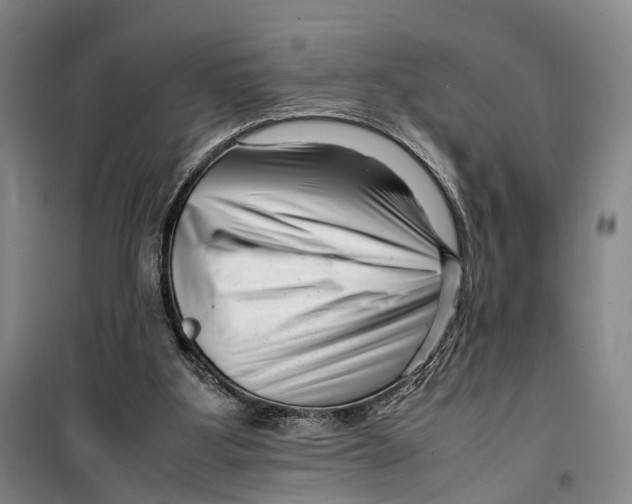 X0000099460107200805301542