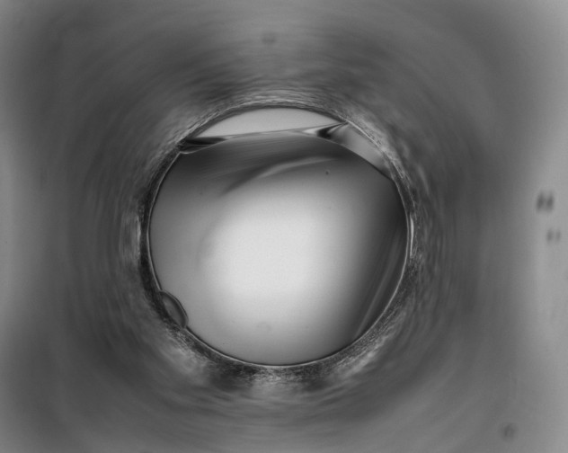 X0000099460109200805301542