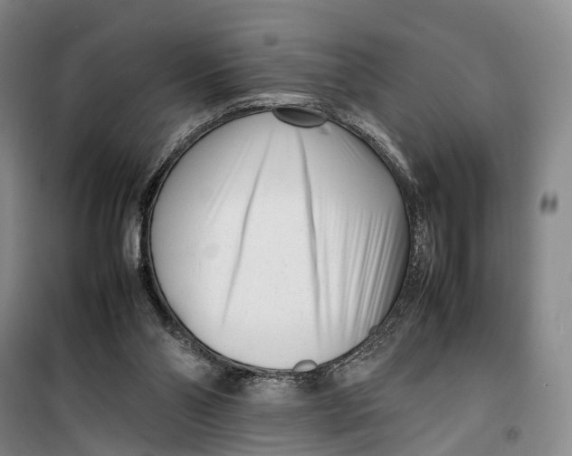 X0000099460110200805301542