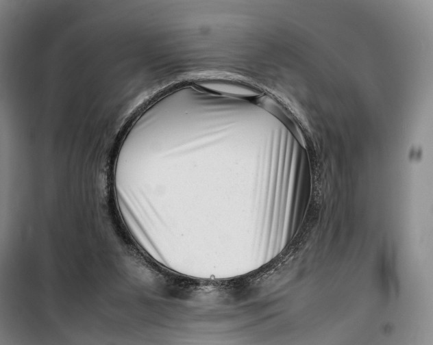 X0000099460111200805301542