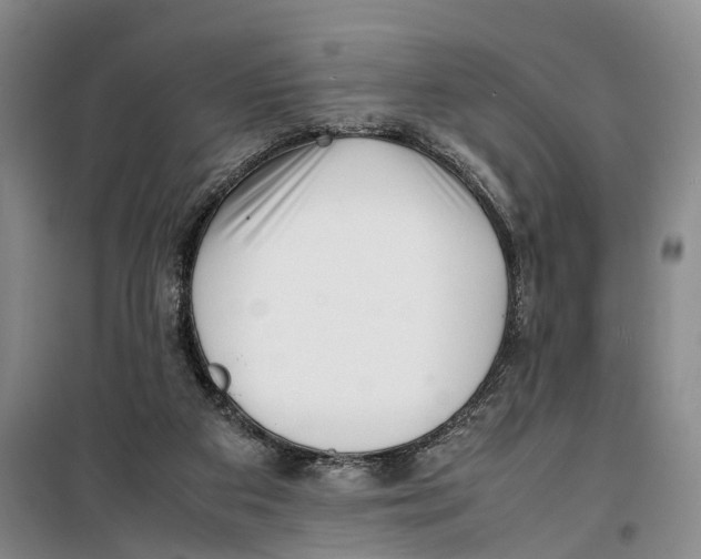 X0000099460113200805301542