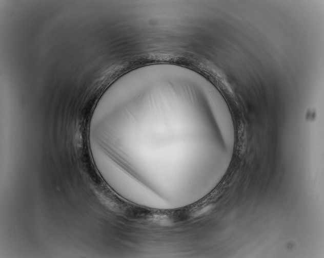 X0000099460114200805301542