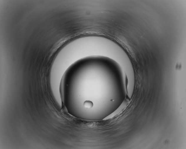 X0000099460116200805301542