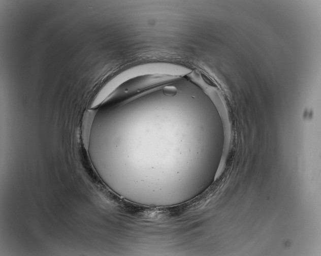 X0000099460117200805301542