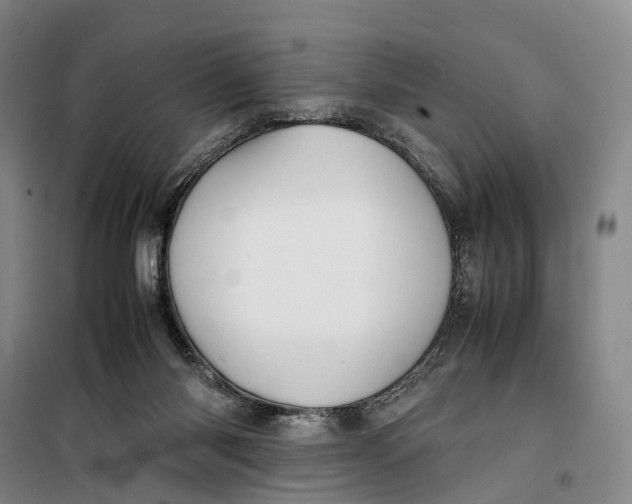 X0000099460118200805301542