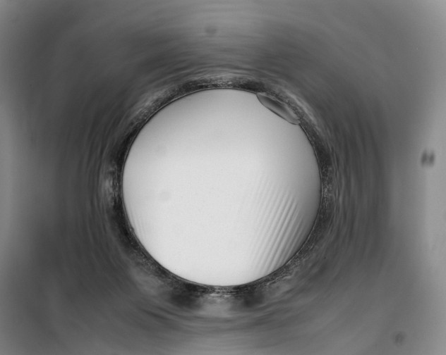 X0000099460119200805301542