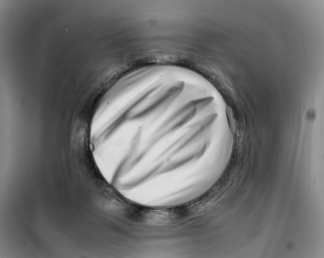 X0000099460123200805301542