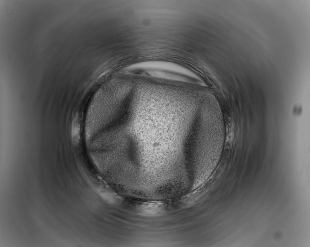 X0000099460124200805301542