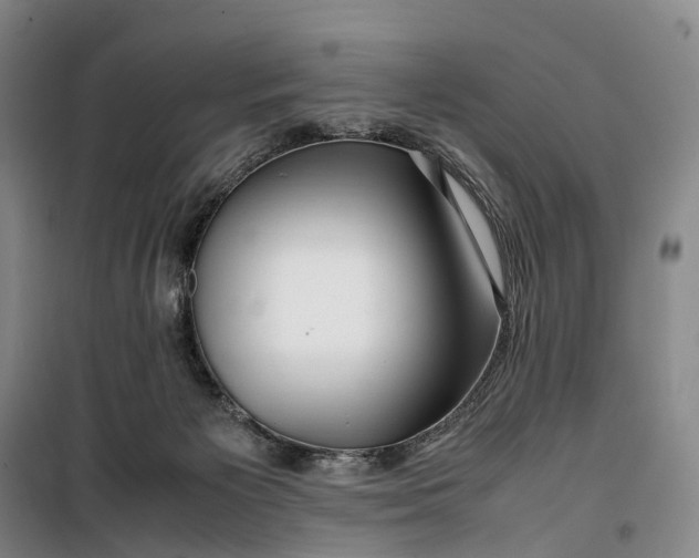 X0000099460125200805301542