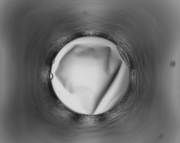 X0000099460127200805301542