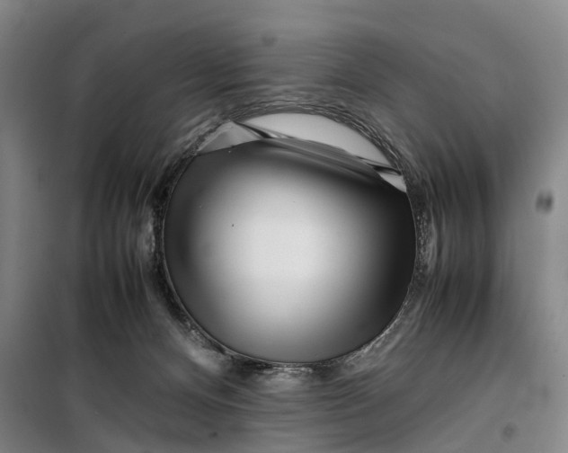 X0000099460128200805301542