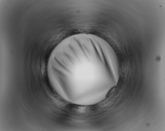 X0000099460130200805301542