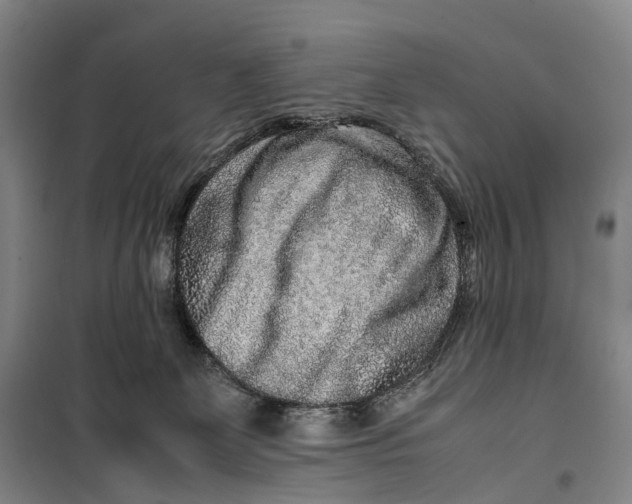 X0000099460131200805301542