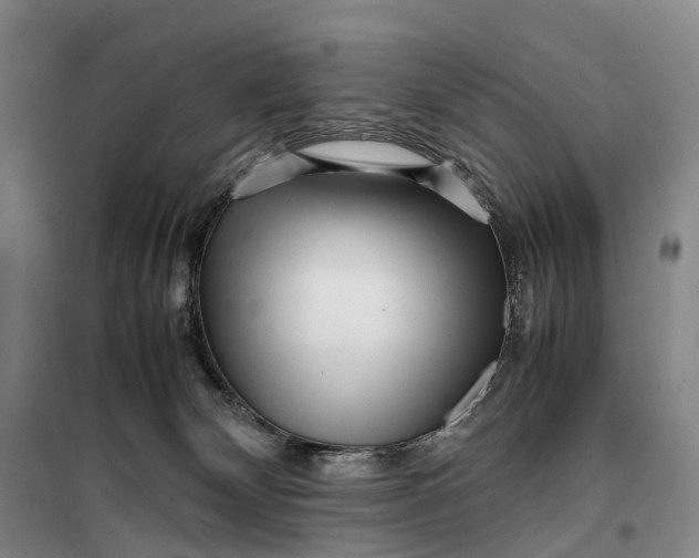 X0000099460132200805301542