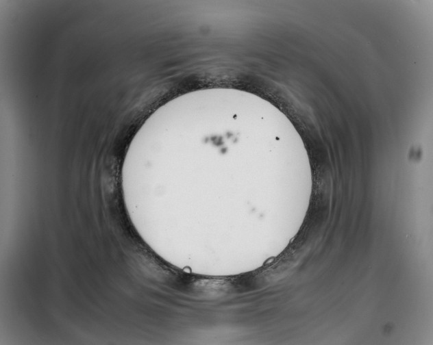 X0000099460133200805301542