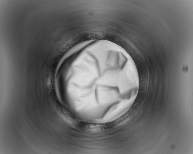 X0000099460134200805301542