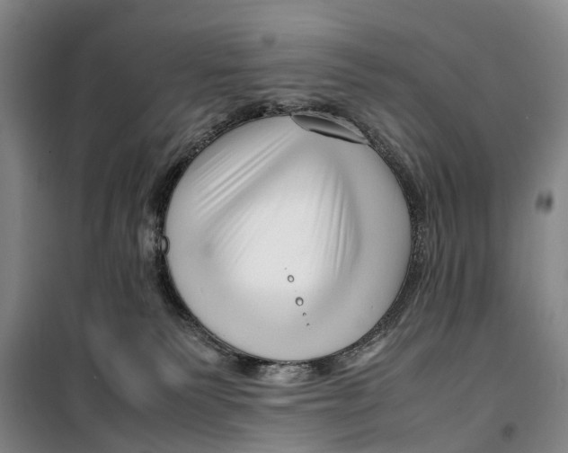 X0000099460135200805301542