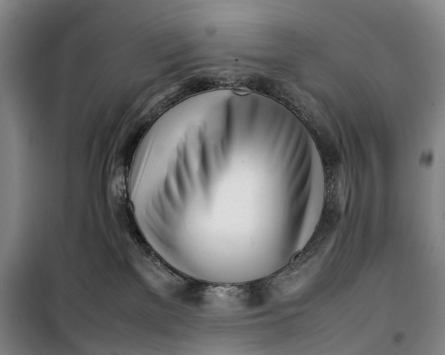 X0000099460137200805301542