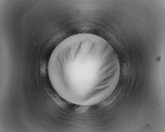 X0000099460138200805301542