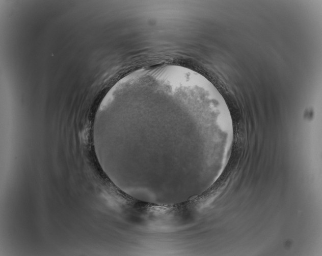 X0000099460139200805301542