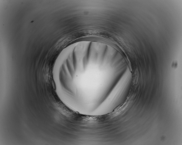 X0000099460140200805301542