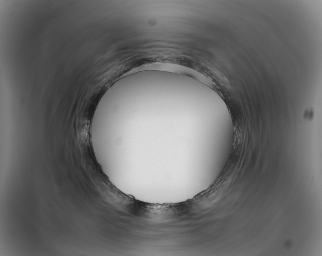 X0000099460141200805301542