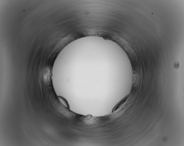 X0000099460142200805301542