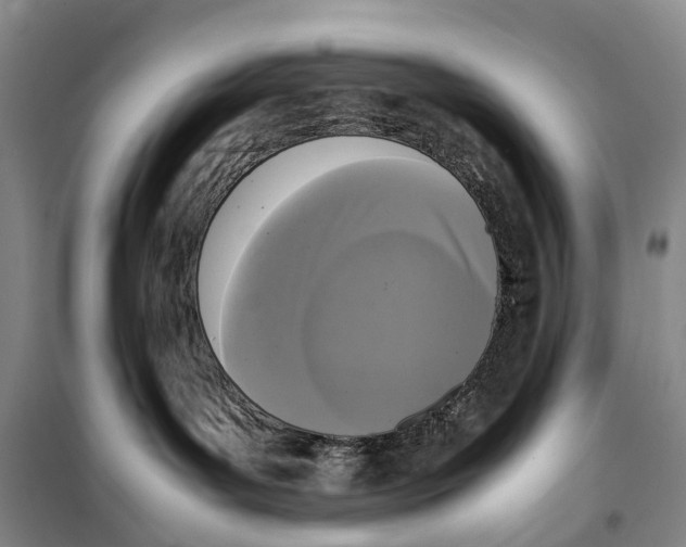 X0000099460143200805301542