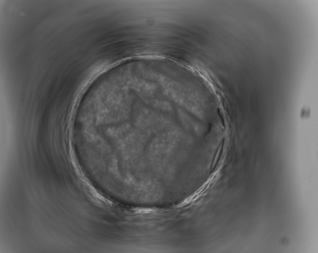 X0000099460145200805301541