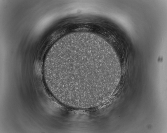 X0000099460146200805301541