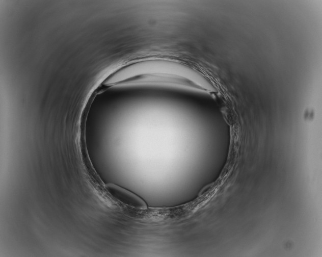 X0000099460148200805301541