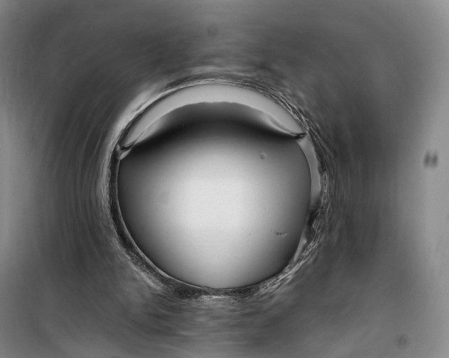 X0000099460150200805301541