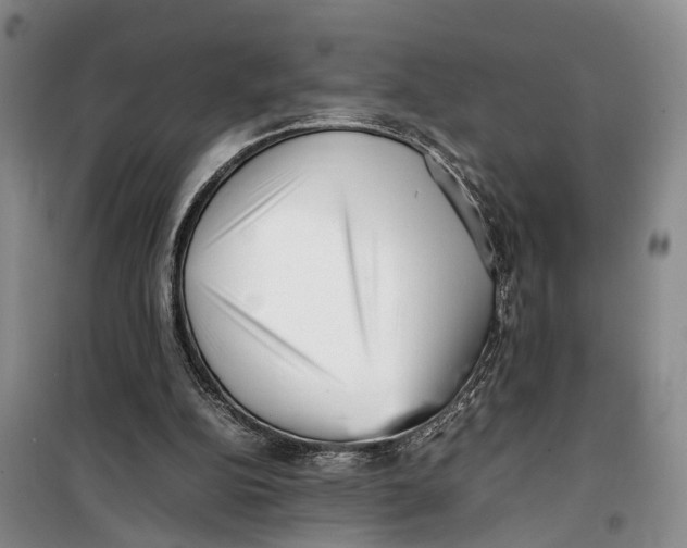 X0000099460152200805301541