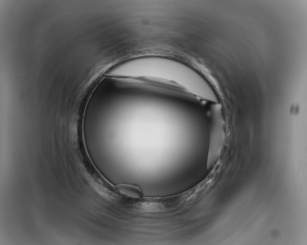 X0000099460154200805301541