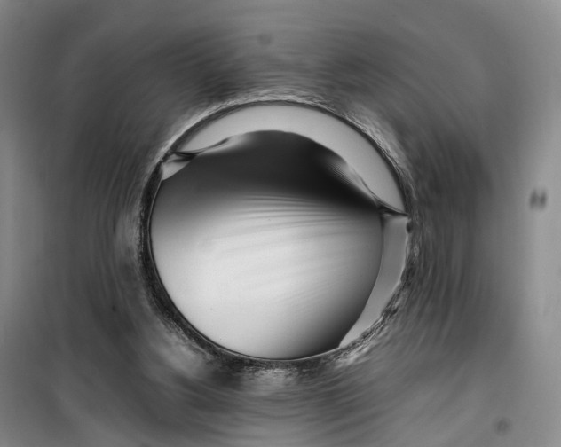 X0000099460156200805301541