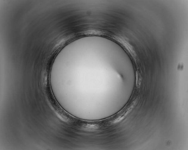 X0000099460157200805301541