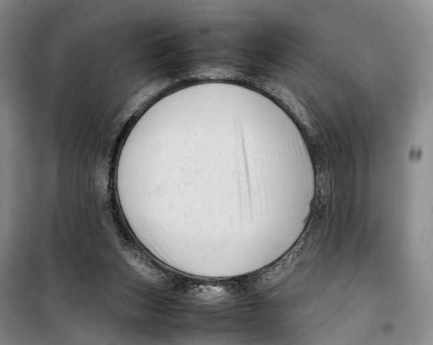 X0000099460159200805301542