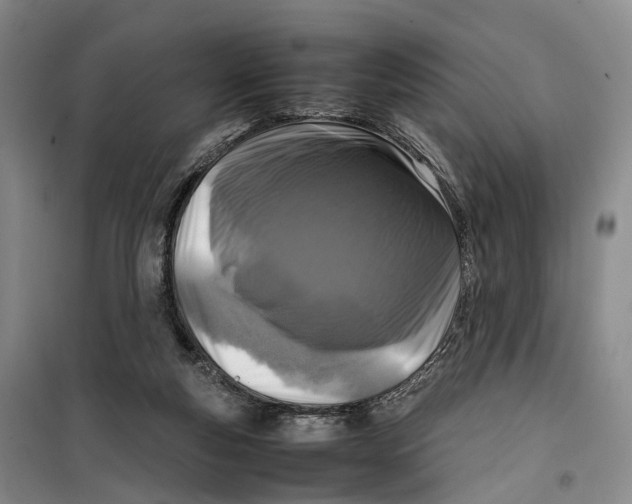 X0000099460163200805301542