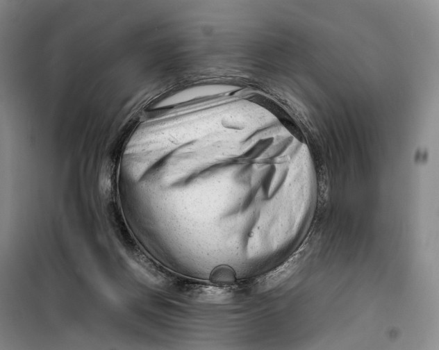 X0000099460166200805301542